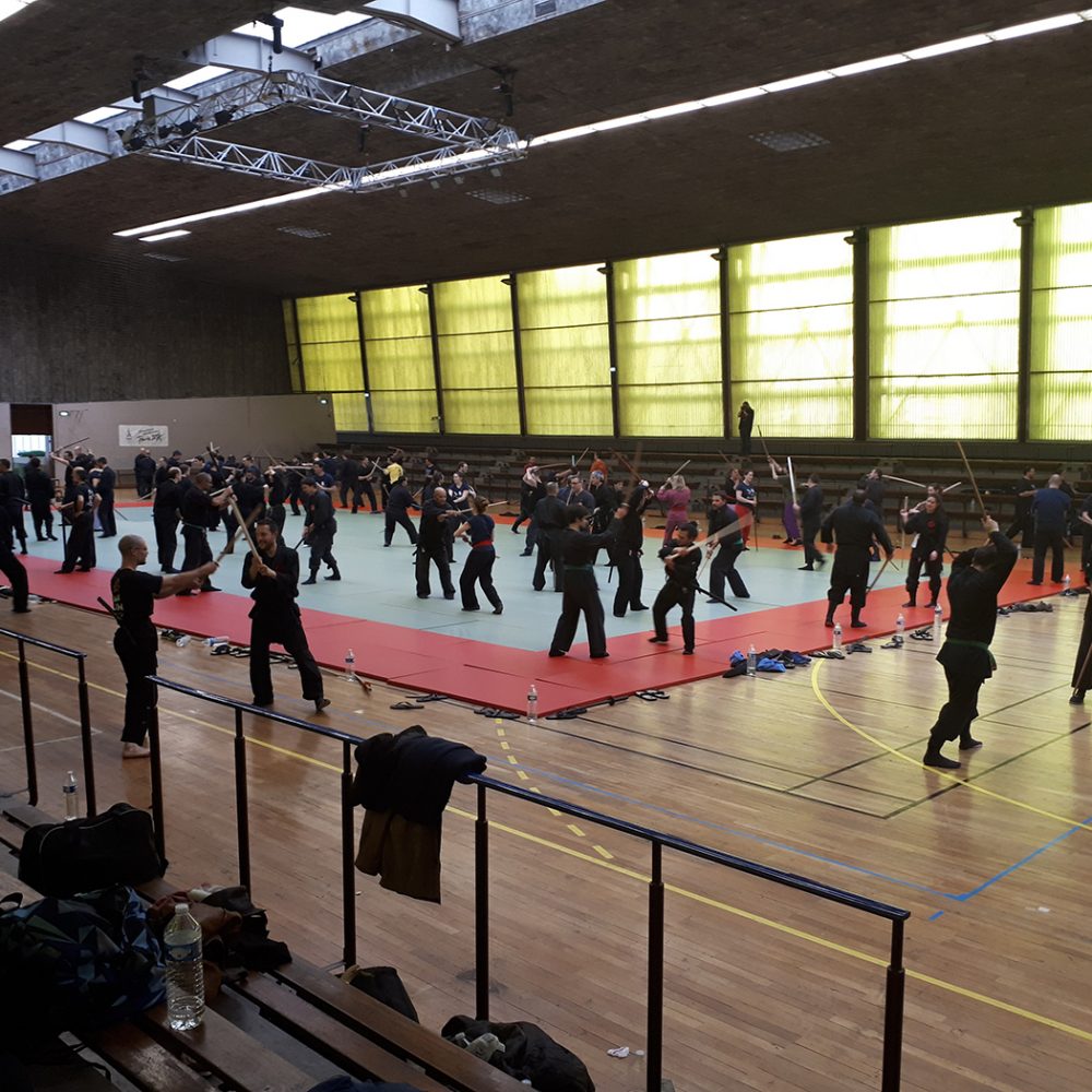 Ninjutsu Dijon Bujinkan Shinobi Dojo Art Martial des ninjas
